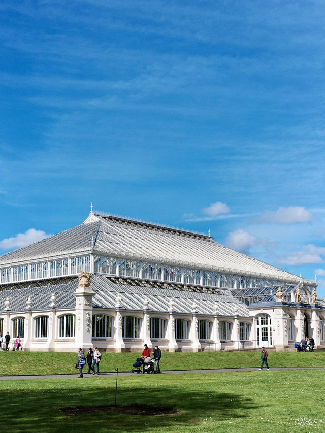 📍 倫敦丘園櫻花季 | Kew Gardens