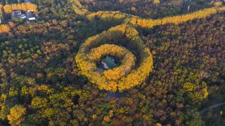Why Nanjing should be on your list