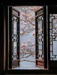Experience the Enchanting Spring in Suzhou