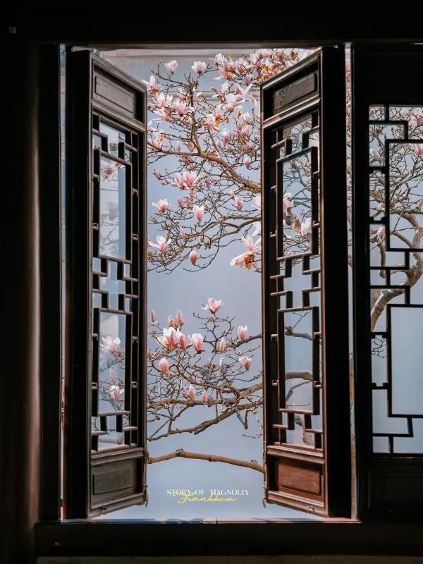 Experience the Enchanting Spring in Suzhou