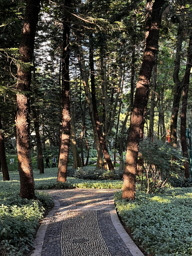 珠江公園：鬧市中的綠色明珠
