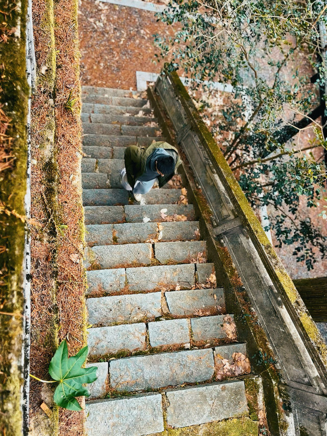 金華雙龍賓館 | 隱於山林 洞見雙龍