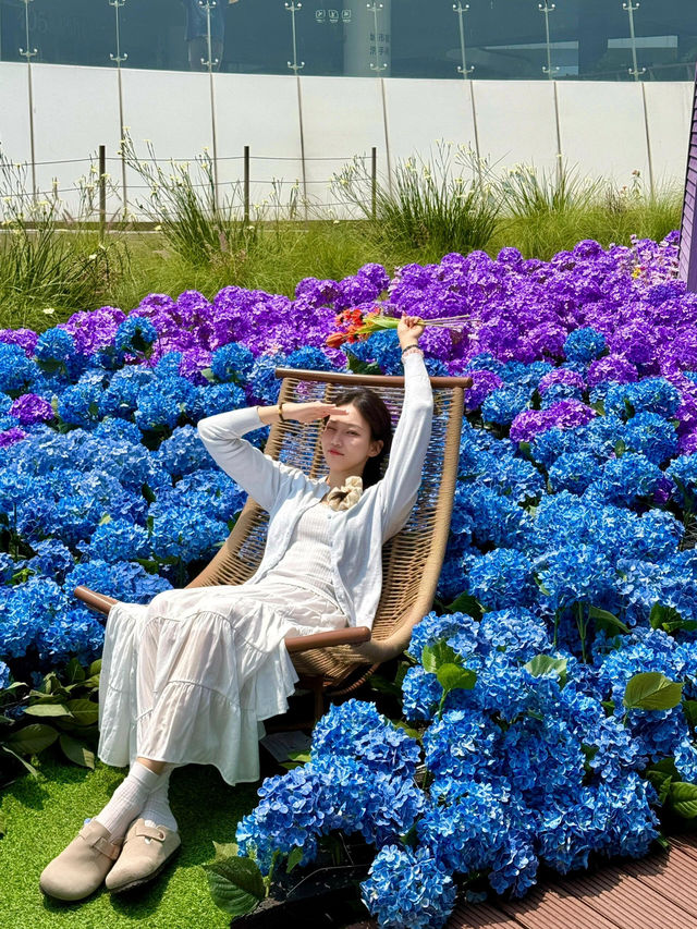 🌷珠海隱藏寶地 | 假花叢中的真小鹿奇遇✨
