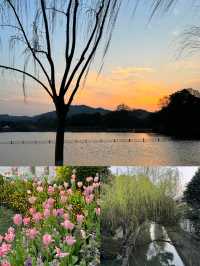 HangZhou｜杭州|||愛上這座城市帶給我的寧靜