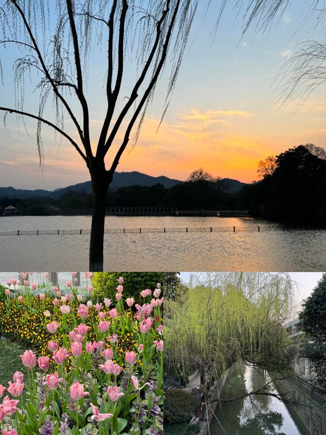 HangZhou｜杭州|||愛上這座城市帶給我的寧靜