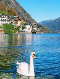 奧地利著名小鎮景點：哈爾斯塔特（hallstatt)，適合拍照打卡、週末閒暇度假地！ 