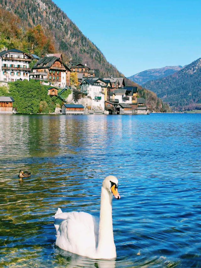 奧地利著名小鎮景點：哈爾斯塔特（hallstatt)，適合拍照打卡、週末閒暇度假地！ 