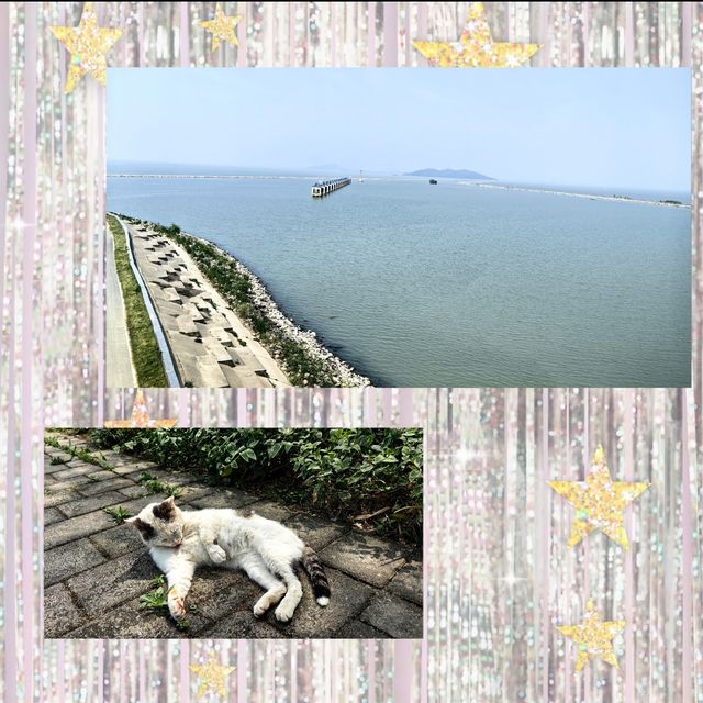 環遊巢湖