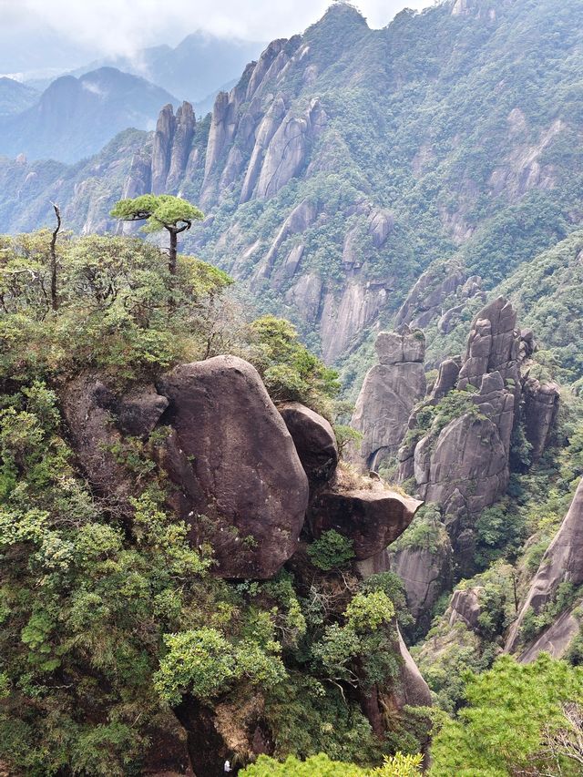 昨日三清山
