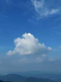 逃離城市計劃|象窩山天然大氧吧