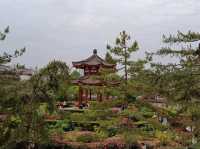 Amazing time at Daci'en temple, Big Wild Goose Pagoda