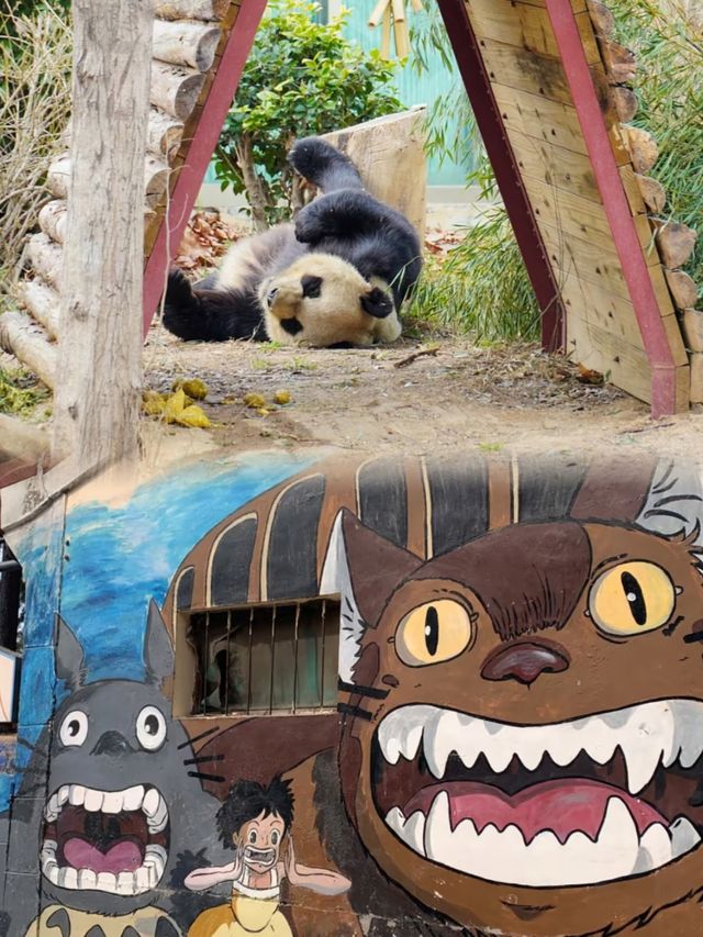奔赴一場向海而生的浪漫
