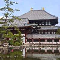 日本旅遊的戒斷反應為何這麼強烈啊？