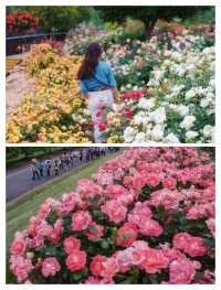 上海五一限定版「莫奈花園」靚到窒息！快啲嚟！