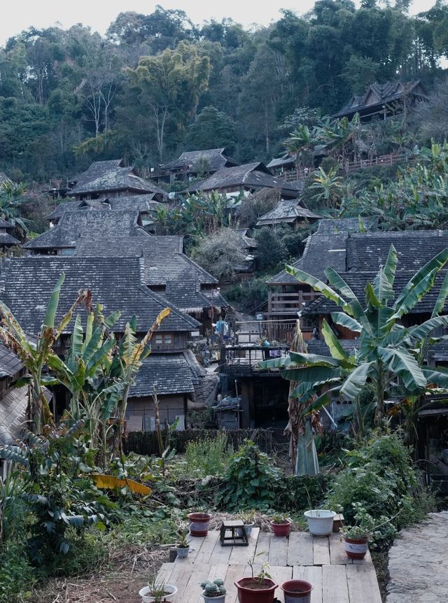 嘩塞！親們，我要給你們揭秘一個雲南嘅寶藏秘境——景邁山！