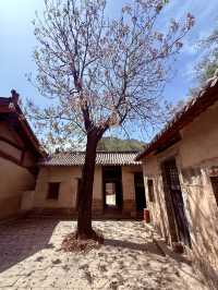 一寺貫六朝——龍門寺