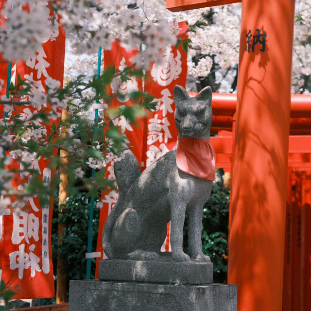 名古屋隱藏版賞櫻秘境！祐德稻荷神社太絕了！ 