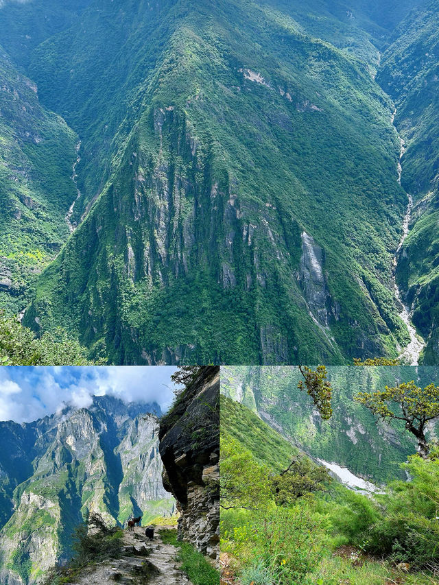 虎跳峽我呢一世都唔會再去喇 如果再去我就再講多次