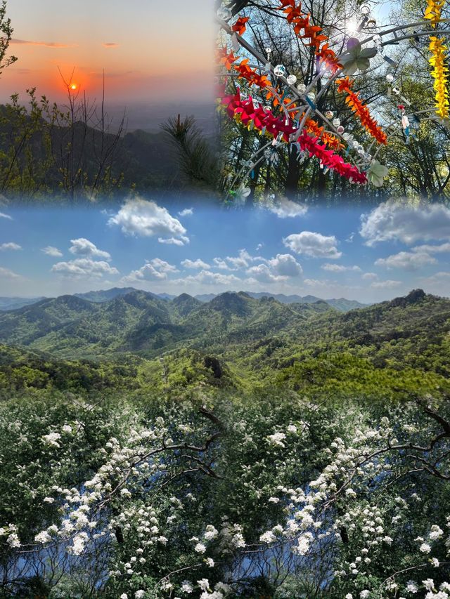 千山限定攻略｜解鎖小眾秘境路線