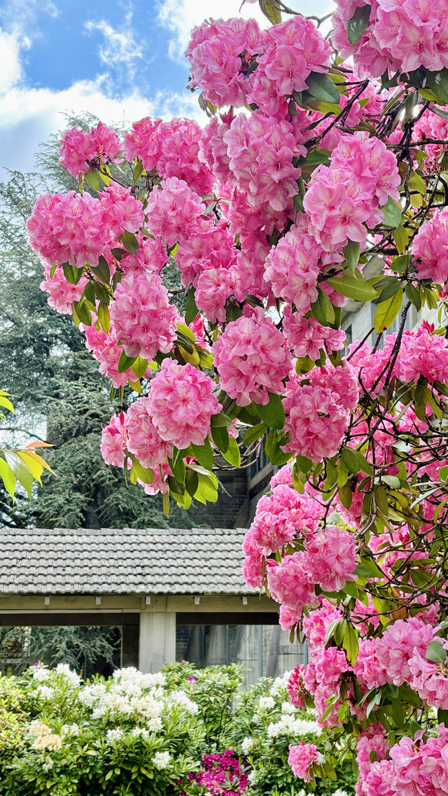 溫哥華聖約翰教堂：建築與園藝之美