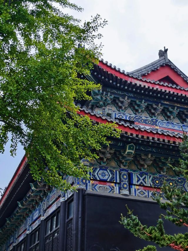 假期之臨沂·真係早已超乎你嘅想像