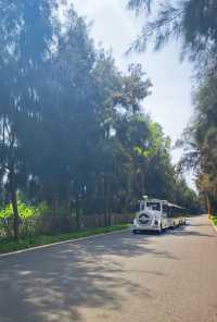 漩門灣濕地公園冇人嘅感覺實在太正啦