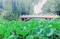 呢度唔止有神樹！北京治癒系帶娃公園！詳見攻略！