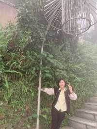 Tam Đảo