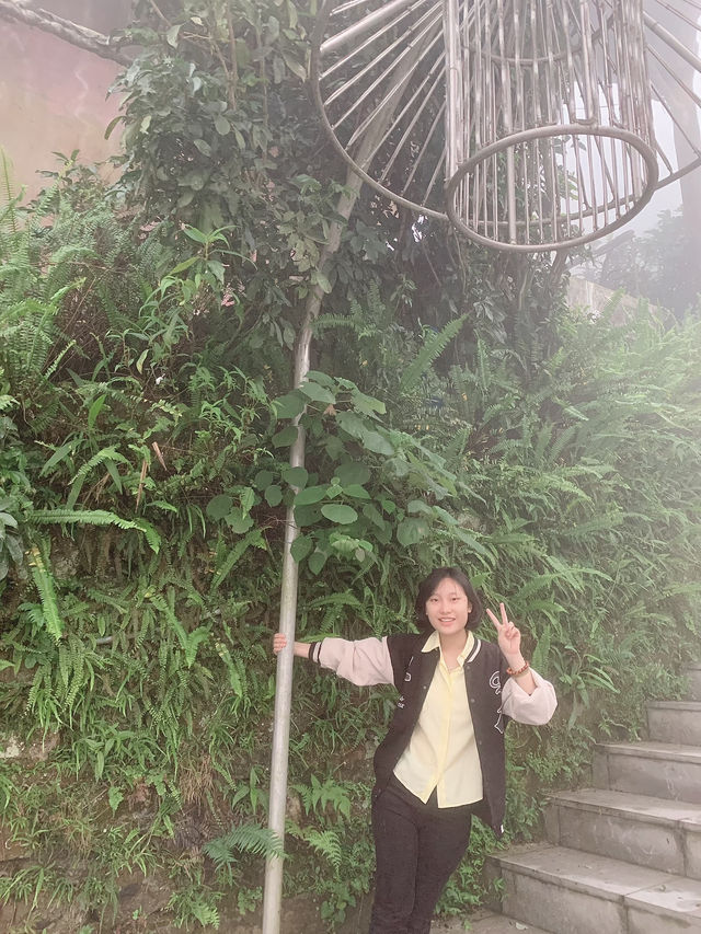 Tam Đảo
