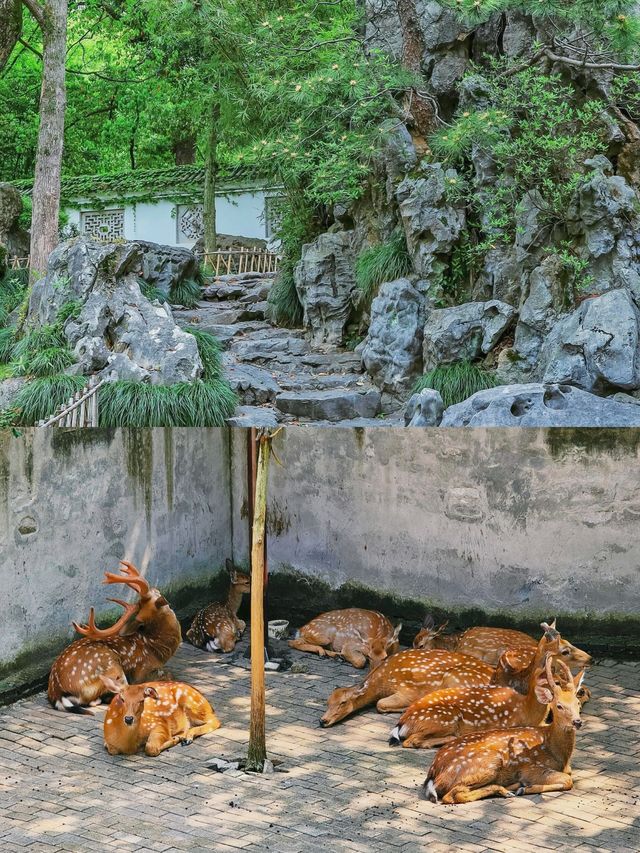 玩轉臨海唔迷路實用攻略速覽
