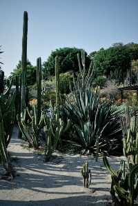 廈門植物園|現實版嘅綠野仙蹤畀我搵到啦
