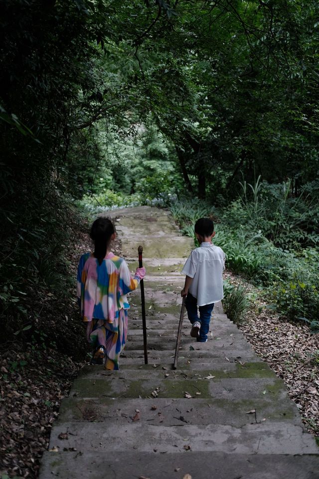 香積寺探幽 | 合谷山居專屬行山體驗