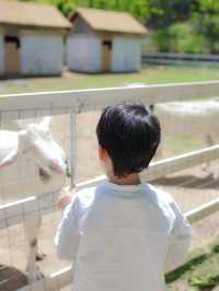 常州溧陽加順農場 | 藏喺田園間嘅親子趣玩