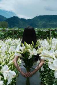 福州限定浪漫！呢片高過人嘅百合花海藏唔住啦～