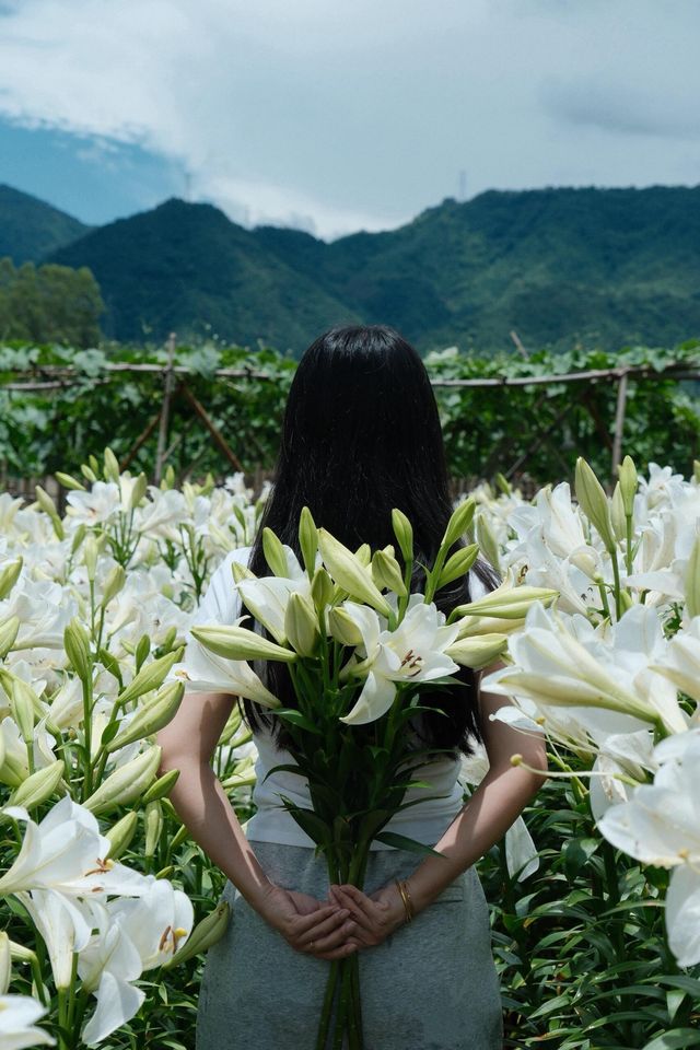 福州限定浪漫！呢片高過人嘅百合花海藏唔住啦～