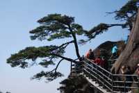 三清山絕對值得一遊，雲端之上的震撼令人難忘
