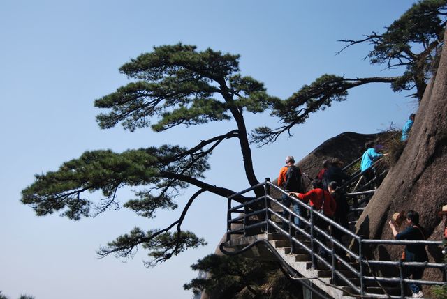 三清山絕對值得一遊，雲端之上的震撼令人難忘