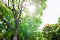 廣州週末去邊度玩？呢8個免費公園，快啲安排！