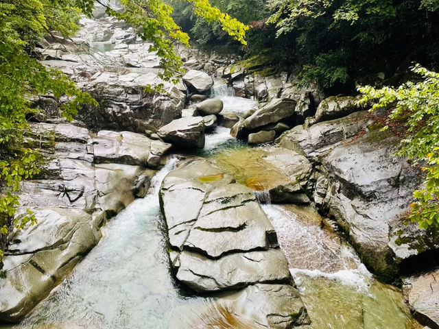 去咗米倉山國家森林公園3次，終於玩到明晒。