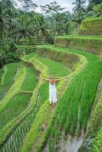 Discover Bali’s Top 5 Rice Terrace Views! 📷