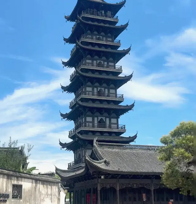 Wuzhen Travel Guide: Which is Better to Visit, East or West Scenic Area? Must-Save Tips!