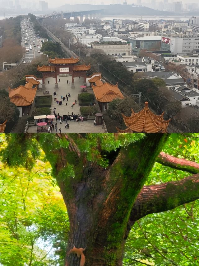 武漢受罪已回，真唔建議7月份嚟