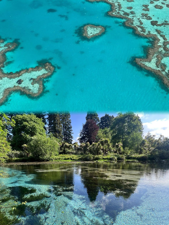 庫克群島｜媲美大溪地的世外桃源🩵🫧