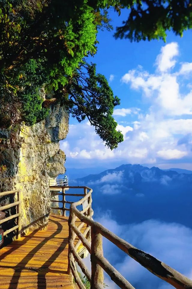 衝入雲端懸崖！這處90°垂直秘境藏著地球心跳