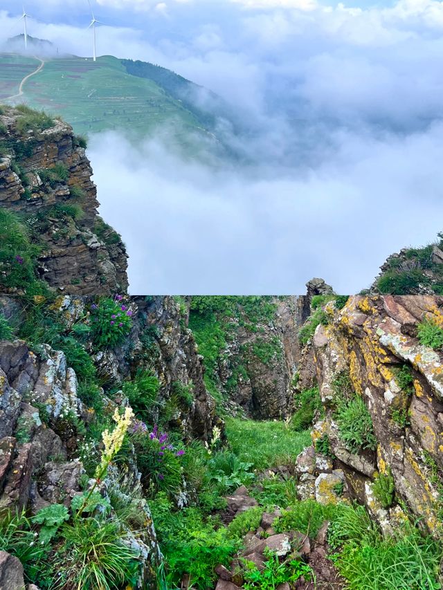 人均399住進現實版莫奈花園—雲海崖
