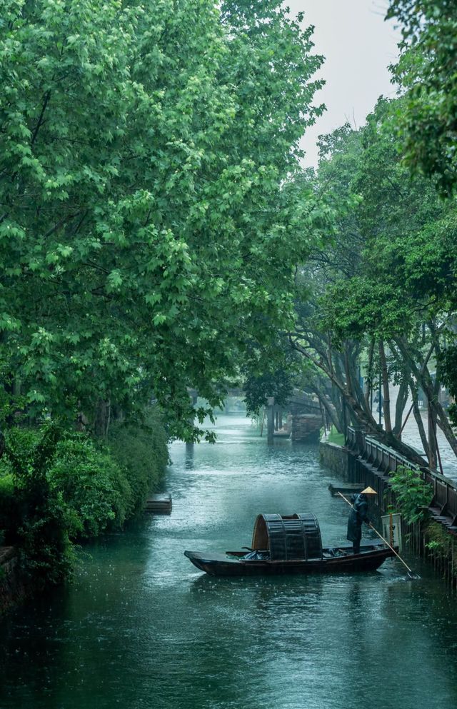 你是七月湖上的雨，也是江南的驚鴻客。