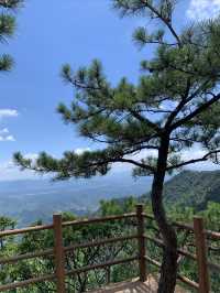 天目山·3日遊全攻略｜華東最後嘅原始森林  
【行程亮點】：  
72℃天然氧吧！一腳踏入神秘嘅大樹王國