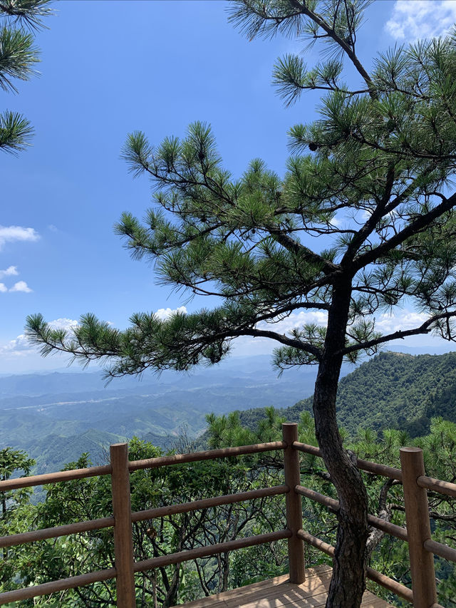 天目山·3日遊全攻略｜華東最後嘅原始森林  
【行程亮點】：  
72℃天然氧吧！一腳踏入神秘嘅大樹王國