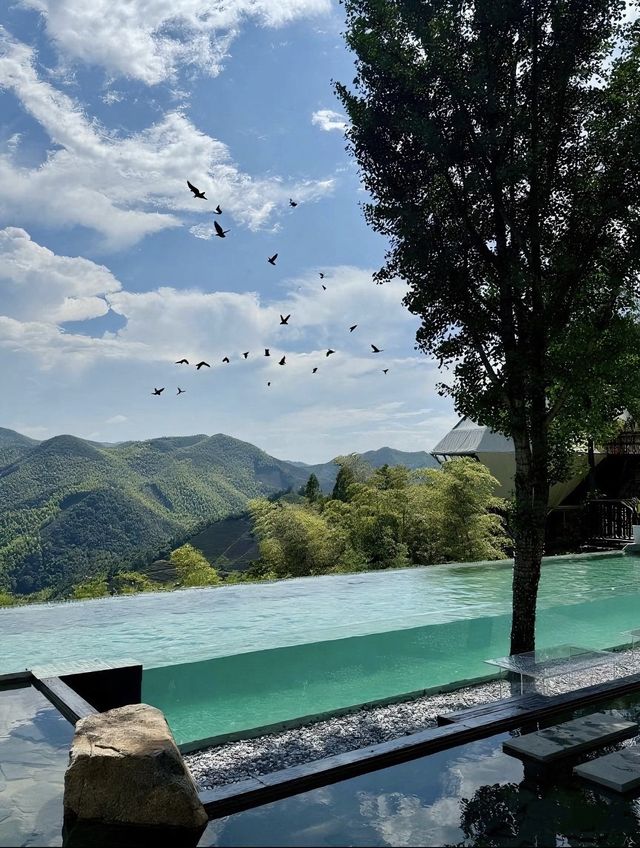 ‌劍匣雲淵：莫干山竹海暗藏嘅淬火密箋‌