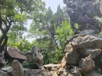 去咗4次獅子林，終於玩到明！